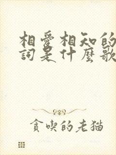 相爱相知的人歌词是什么歌名