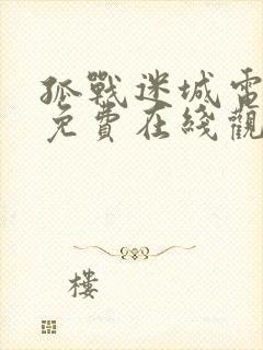 孤战迷城电视剧免费在线观看