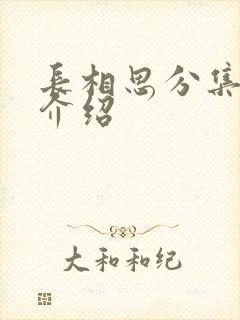 长相思分集剧情介绍