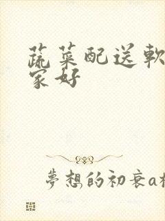 蔬菜配送软件那家好