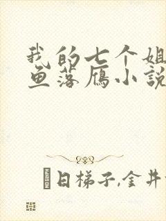 我的七个姐姐沉鱼落雁小说免费阅读
