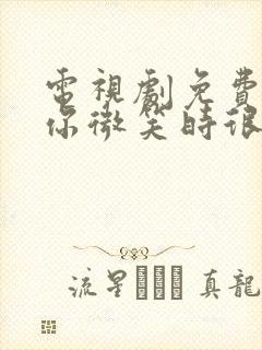 电视剧免费观看你微笑时很美