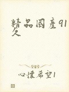 精品国产91久久