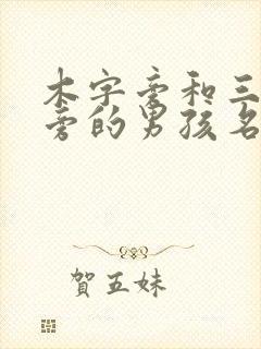 木字旁和三点水旁的男孩名字