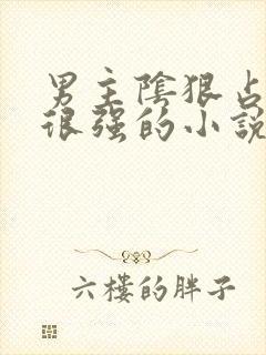 男主阴狠占有欲很强的小说古代言情