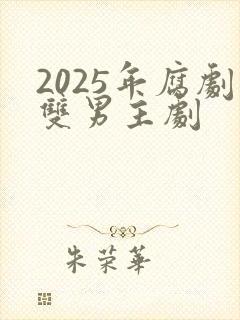 2025年腐剧双男主剧