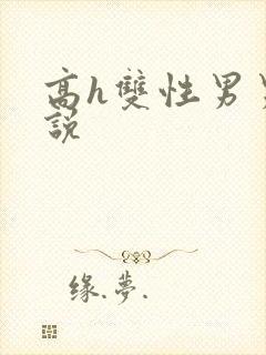 高h双性男男小说