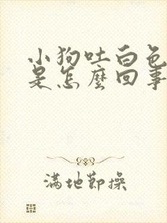 小狗吐白色泡沫是怎么回事