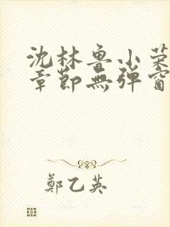 沈林鲁小荣最新章节无弹窗笔趣阁