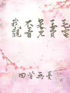我不是王毛在线观看免费电视剧