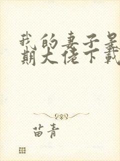 我的妻子是大乘期大佬下载txt