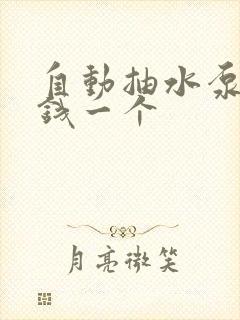 自动抽水泵多少钱一个