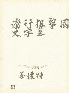 潜行狙击国语中文字幕