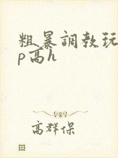 粗暴调教玩弄np高h