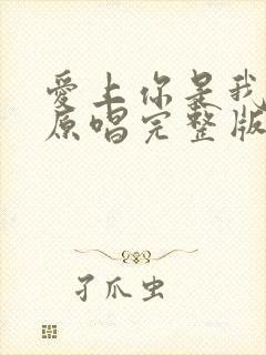 爱上你是我的错原唱完整版