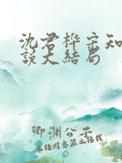 沈君桦宋知慧小说大结局