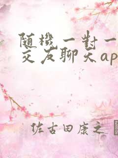 随机一对一视频交友聊天app