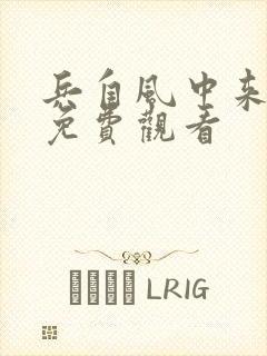 兵自风中来全剧免费观看