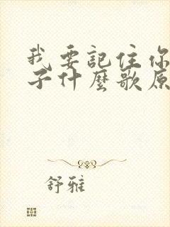 我要记住你的样子什么歌原唱