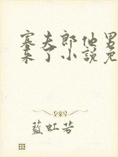 寡夫郎他男人找来了小说免费阅读全文