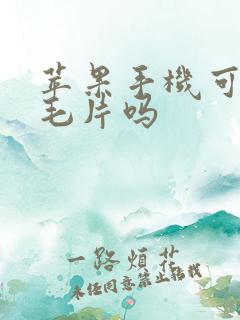 苹果手机可以看毛片吗