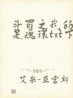 斗罗之我的武魂是魂环txt下载