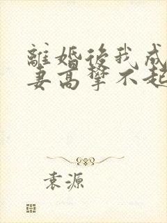 离婚后我成了前妻高攀不起的神txt下载