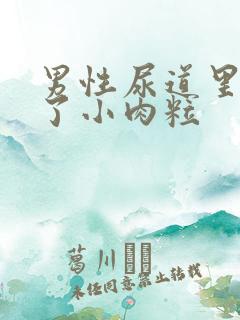 男性尿道里面长了小肉粒