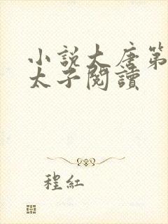 小说大唐第一皇太子阅读