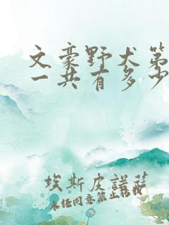 文豪野犬第一季一共有多少集