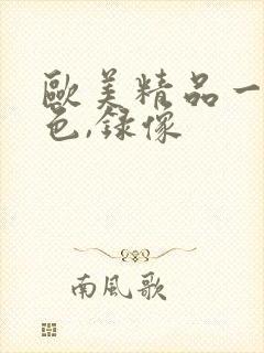 欧美精品一级黄色,录像