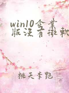 win10企业版没有微软商店怎么办