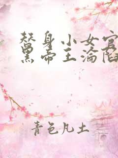 替身小女官,腹黑帝王沦陷了全文阅读