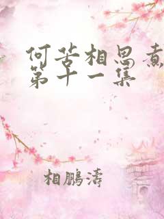 何苦相思煮余年第十一集