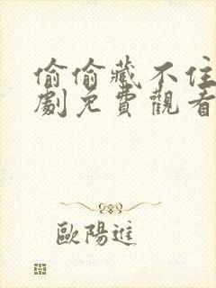 偷偷藏不住电视剧免费观看在线