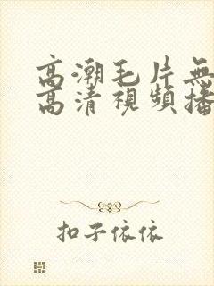 高潮毛片无遮挡高清视频播放