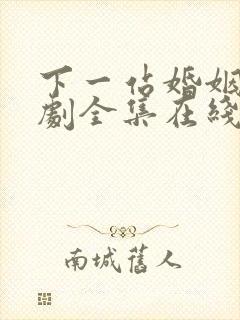 下一站婚姻电视剧全集在线免费观看