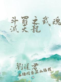 斗罗之武魂紫煌灭天龙