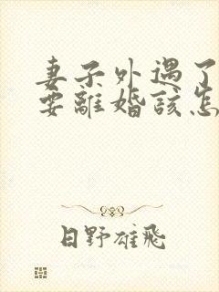 妻子外遇了老公要离婚该怎么挽回