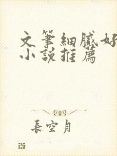 文笔细腻好看的小说推荐