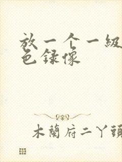 放一个一级的黄色录像