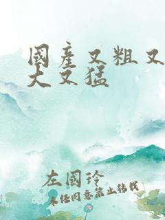 国产又粗又黄又大又猛