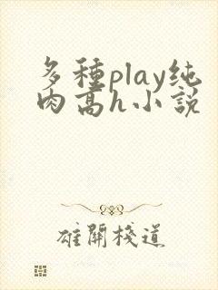 多种play纯肉高h小说