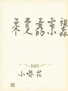 免费看电视剧两个人的小森林