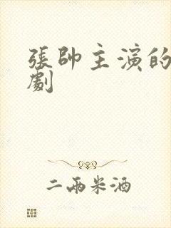 张帅主演的电视剧