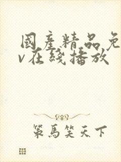 国产精品免费av在线播放