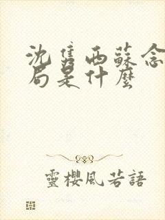 沈隽西苏念笙结局是什么