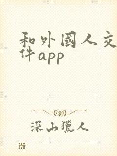 和外国人交友软件app