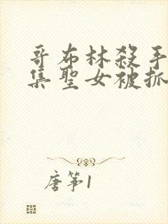 哥布林杀手第几集圣女被抓