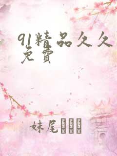 91精品久久久免费